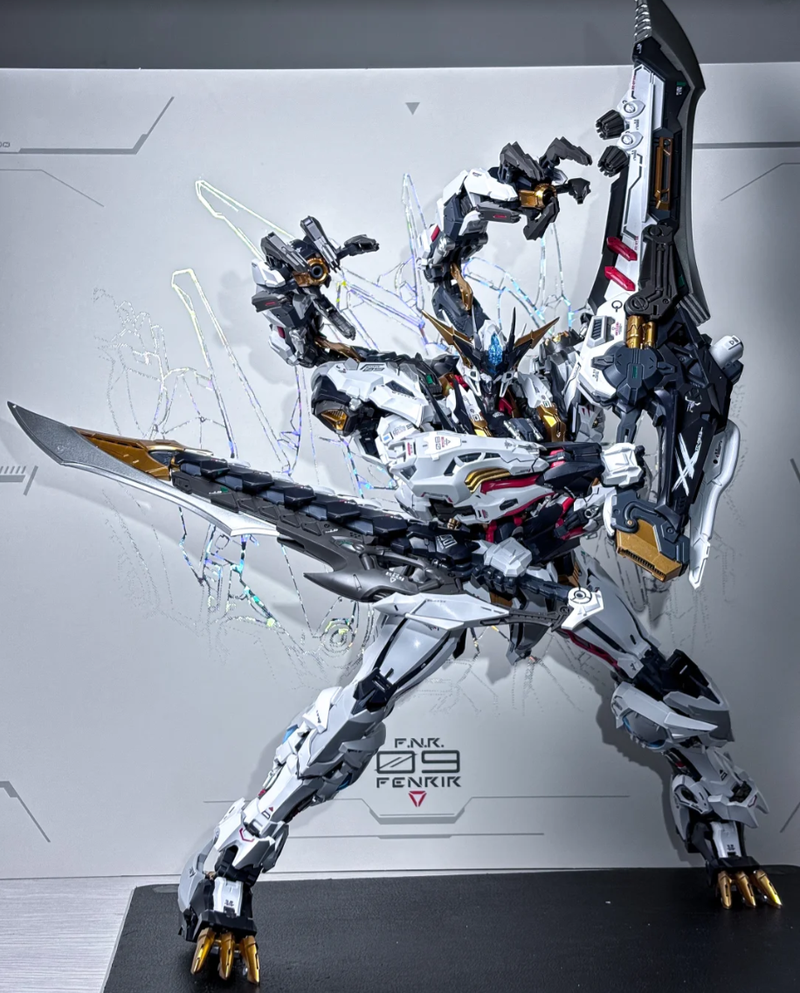 IN ERA+ RMD 1/72 FENRIR Infini - Fenrir Model Kit In Era recension och pris